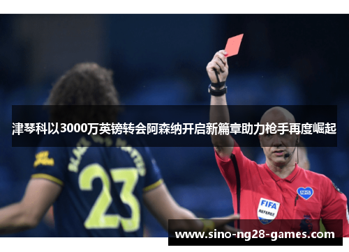 津琴科以3000万英镑转会阿森纳开启新篇章助力枪手再度崛起
