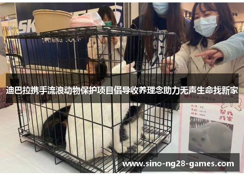 迪巴拉携手流浪动物保护项目倡导收养理念助力无声生命找新家